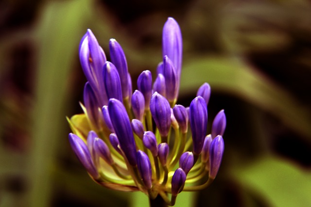 队未来发展 队未来发展