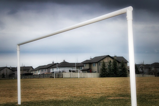 持高水平的 持高水平的