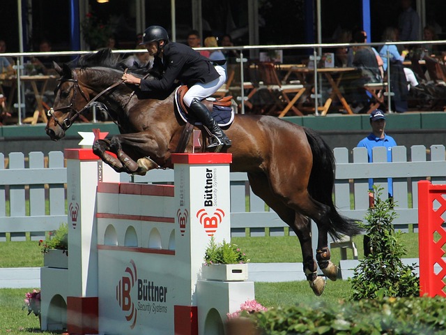 此前首回合 此前首回合