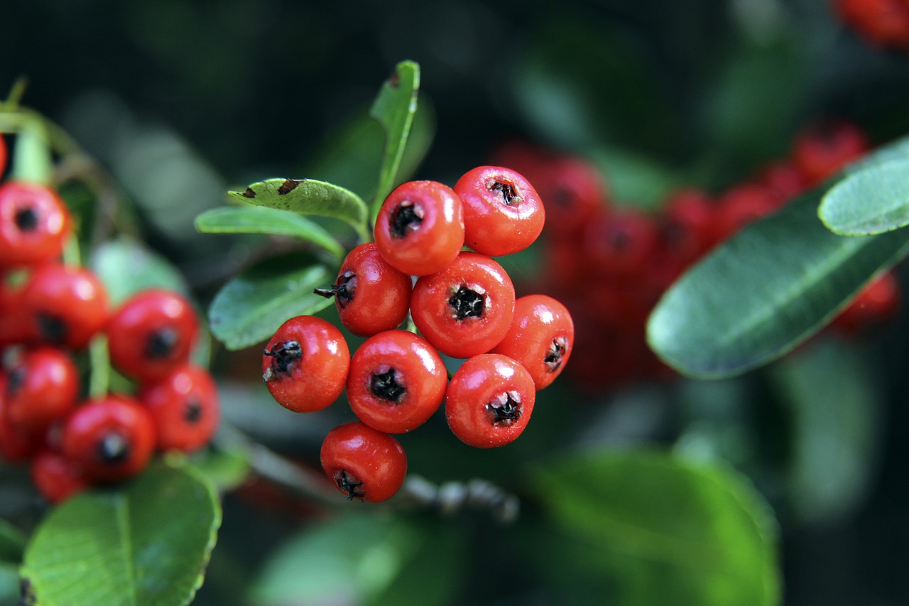样的对手在 样的对手在