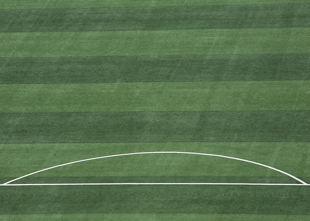 场比赛中的 场比赛中的