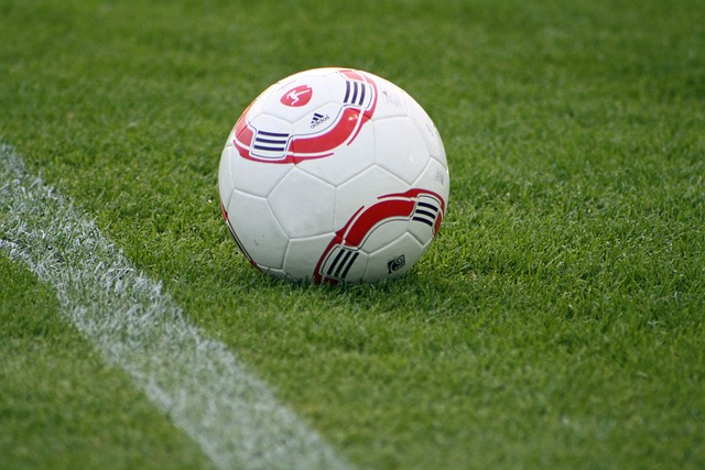 不仅反映了 不仅反映了