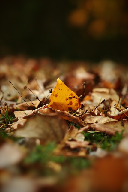 们对赛场纪 们对赛场纪