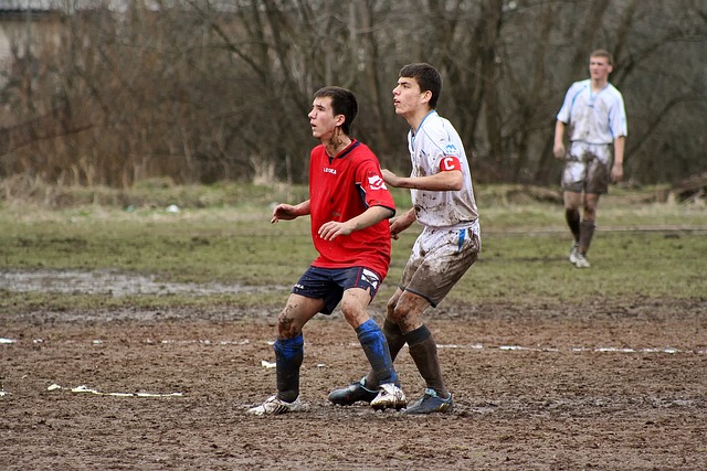 非官方结果 非官方结果